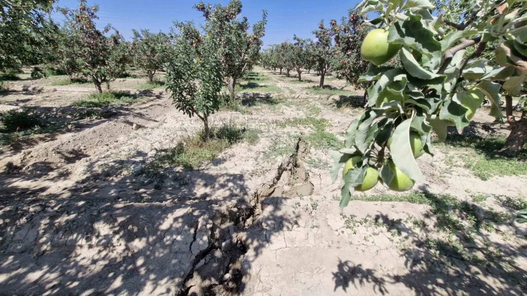 Elma bahçesine giren adam gördükleri karşında şok oldu! 100 metre uzunlukta, 1 metre derinlikte... Gittikçe büyüyor 4